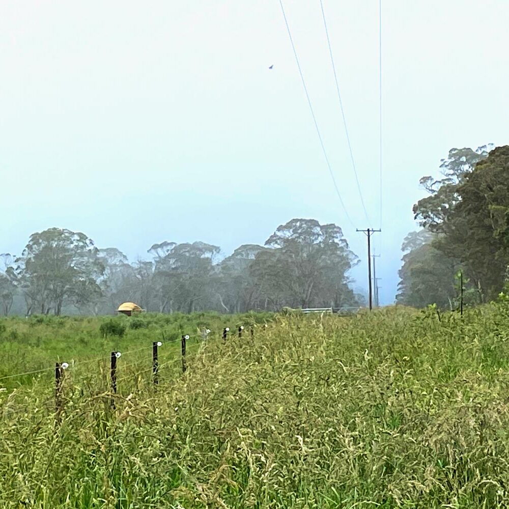 Rural-Field-Electricity-Wires