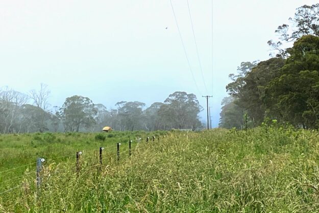 Rural-Field-Electricity-Wires